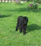 Превью фото № 29064