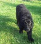 Превью фото № 29065