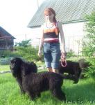 Превью фото № 29077