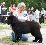 Превью фото № 29092