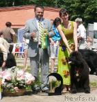 Превью фото № 29117