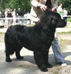 Превью фото № 29120