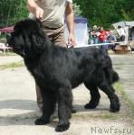 Превью фото № 29129