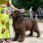 Превью фото № 29138