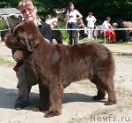 Превью фото № 29142