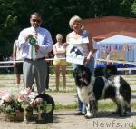 Превью фото № 29145