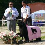 Превью фото № 29150