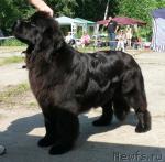 Превью фото № 29153