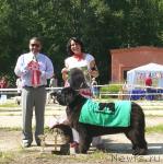 Превью фото № 29157