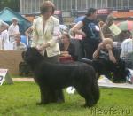 Превью фото № 29206