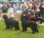 Превью фото № 29208