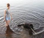 Превью фото № 29298