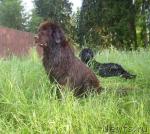 Превью фото № 29324