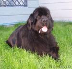 Превью фото № 29353