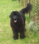 Превью фото № 29367