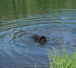 Превью фото № 29483