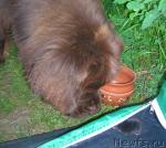 Превью фото № 29553