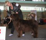 Превью фото № 29761