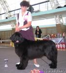 Превью фото № 29767