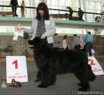 Превью фото № 29769