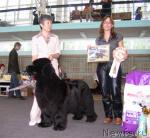 Превью фото № 29777