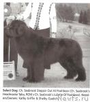 Превью фото № 29814