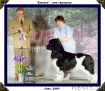 Превью фото № 29816