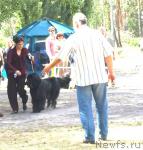 Превью фото № 29983