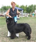 Превью фото № 30009