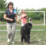 Превью фото № 30016