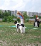 Превью фото № 30054