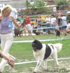 Превью фото № 30055