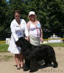 Превью фото № 30065