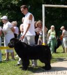 Превью фото № 30070