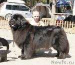 Превью фото № 30321