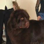 Превью фото № 3036