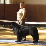 Превью фото № 3041