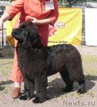 Превью фото № 30679