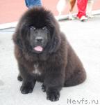 Превью фото № 30697