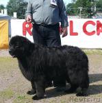 Превью фото № 30703