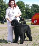 Превью фото № 30714