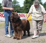 Превью фото № 30716