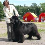 Превью фото № 30719