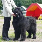 Превью фото № 30721