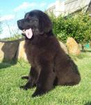 Превью фото № 31065