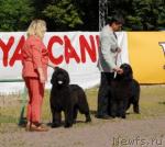 Превью фото № 31129