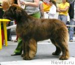 Превью фото № 31134