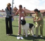 Превью фото № 31160