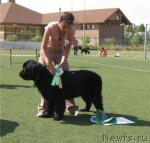 Превью фото № 31161