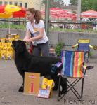 Превью фото № 31247